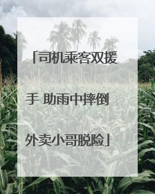 司机乘客双援手 助雨中摔倒外卖小哥脱险