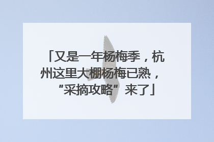 又是一年杨梅季，杭州这里大棚杨梅已熟，“采摘攻略”来了