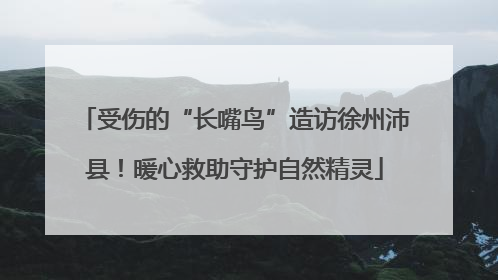 受伤的“长嘴鸟”造访徐州沛县！暖心救助守护自然精灵