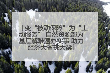 变“被动保障”为“主动服务” 自然资源部为基层解难题办实事 助力经济大省挑大梁