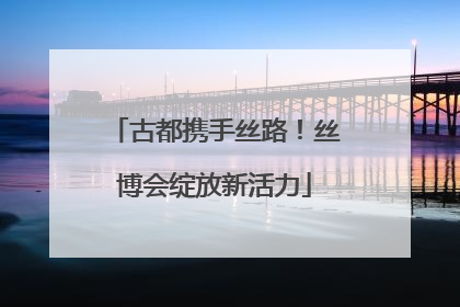 古都携手丝路！丝博会绽放新活力