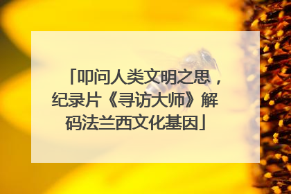 叩问人类文明之思，纪录片《寻访大师》解码法兰西文化基因