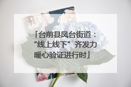 台前县凤台街道：“线上线下”齐发力 暖心验证进行时