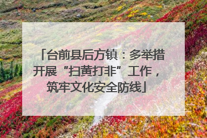 台前县后方镇：多举措开展“扫黄打非”工作，筑牢文化安全防线