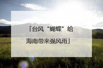 台风“蝴蝶”给海南带来强风雨