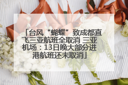 台风“蝴蝶”致成都直飞三亚航班全取消 三亚机场：13日晚大部分进港航班还未取消