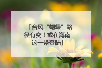 台风“蝴蝶”路径有变！或在海南这一带登陆