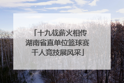 十九载薪火相传 湖南省直单位篮球赛千人竞技展风采