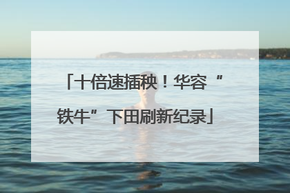 十倍速插秧！华容“铁牛”下田刷新纪录