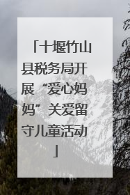 十堰竹山县税务局开展“爱心妈妈”关爱留守儿童活动