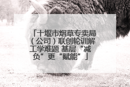 十堰市烟草专卖局（公司）联创轮训解工学难题 基层“减负”更“赋能”