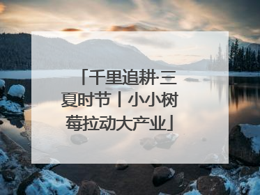 千里追耕·三夏时节丨小小树莓拉动大产业