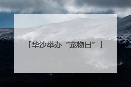 华沙举办“宠物日”
