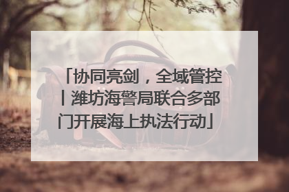 协同亮剑，全域管控丨潍坊海警局联合多部门开展海上执法行动