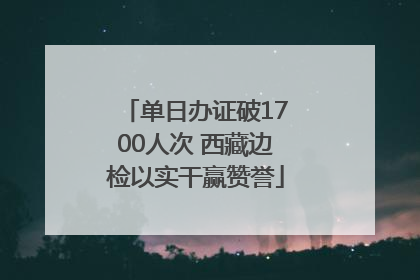 单日办证破1700人次 西藏边检以实干赢赞誉