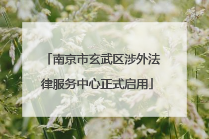南京市玄武区涉外法律服务中心正式启用