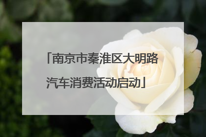 南京市秦淮区大明路汽车消费活动启动