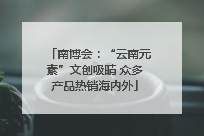 南博会：“云南元素”文创吸睛 众多产品热销海内外
