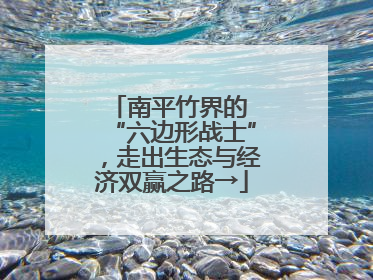 南平竹界的 “六边形战士”，走出生态与经济双赢之路→