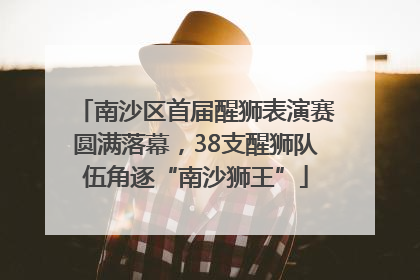 南沙区首届醒狮表演赛圆满落幕，38支醒狮队伍角逐“南沙狮王”