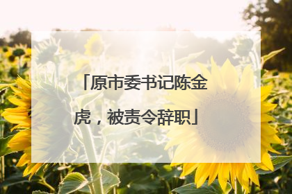 原市委书记陈金虎，被责令辞职