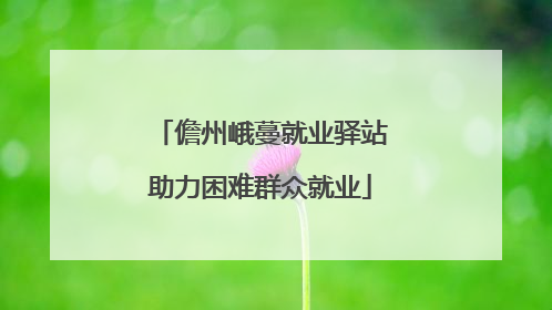 儋州峨蔓就业驿站助力困难群众就业