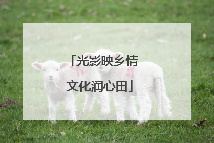 光影映乡情 文化润心田