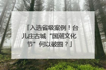 入选省级案例！台儿庄古城“国潮文化节”何以破圈？