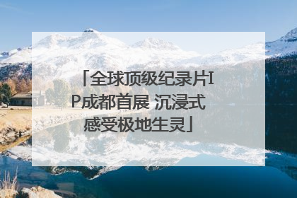 全球顶级纪录片IP成都首展 沉浸式感受极地生灵