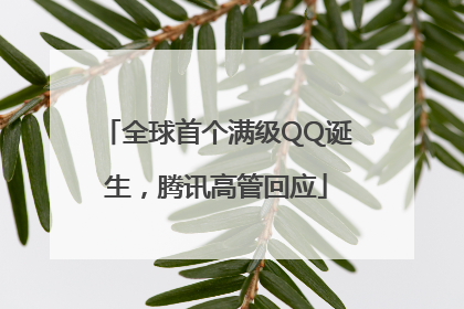 全球首个满级QQ诞生，腾讯高管回应