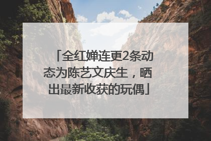 全红婵连更2条动态为陈艺文庆生，晒出最新收获的玩偶