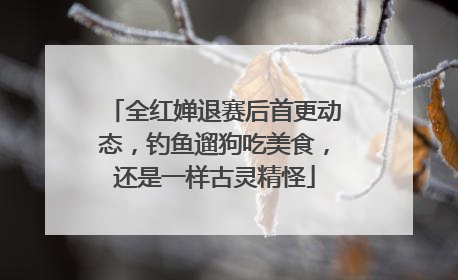 全红婵退赛后首更动态，钓鱼遛狗吃美食，还是一样古灵精怪