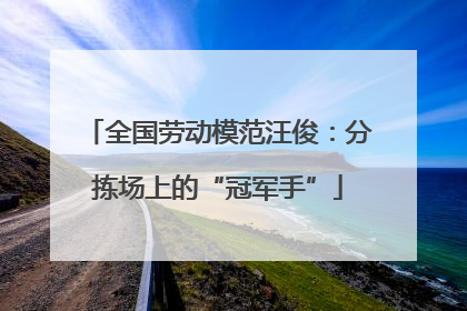 全国劳动模范汪俊：分拣场上的“冠军手”