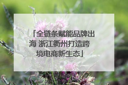 全链条赋能品牌出海 浙江衢州打造跨境电商新生态