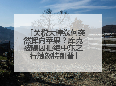 关税大棒缘何突然挥向苹果？库克被曝因拒绝中东之行触怒特朗普