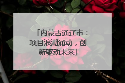 内蒙古通辽市：项目浪潮涌动，创新驱动未来