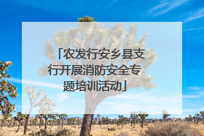 农发行安乡县支行开展消防安全专题培训活动