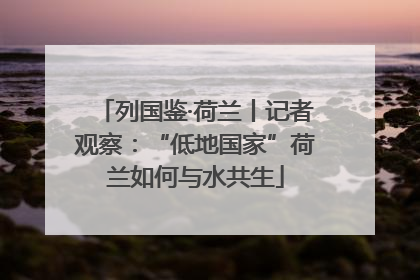 列国鉴·荷兰丨记者观察：“低地国家”荷兰如何与水共生