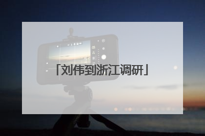 刘伟到浙江调研
