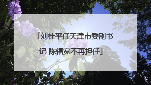 刘桂平任天津市委副书记 陈辐宽不再担任