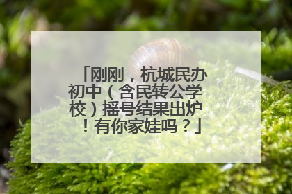 刚刚，杭城民办初中（含民转公学校）摇号结果出炉！有你家娃吗？