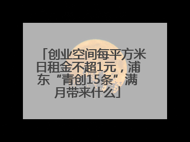 创业空间每平方米日租金不超1元，浦东“青创15条”满月带来什么