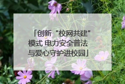 创新“校网共建”模式 电力安全普法与爱心守护进校园