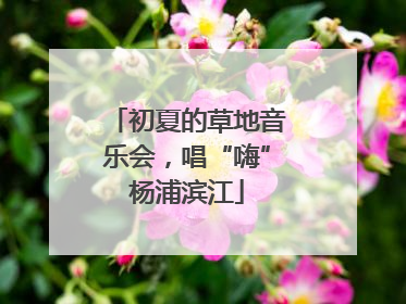 初夏的草地音乐会，唱“嗨”杨浦滨江