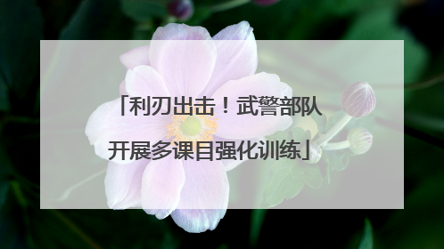 利刃出击！武警部队开展多课目强化训练