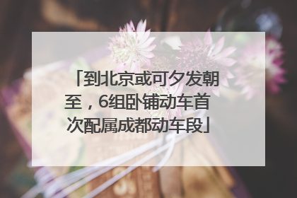 到北京或可夕发朝至，6组卧铺动车首次配属成都动车段