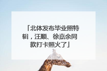 北体发布毕业照特辑，汪顺、徐嘉余同款打卡照火了