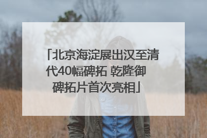 北京海淀展出汉至清代40幅碑拓 乾隆御碑拓片首次亮相