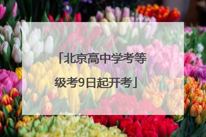北京高中学考等级考9日起开考
