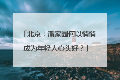 北京：潘家园何以悄悄成为年轻人心头好？